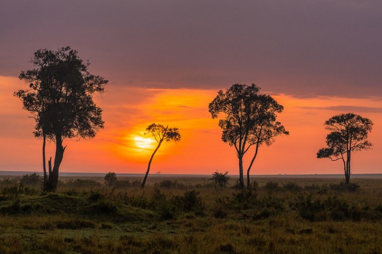 060 Masai Mara.jpg